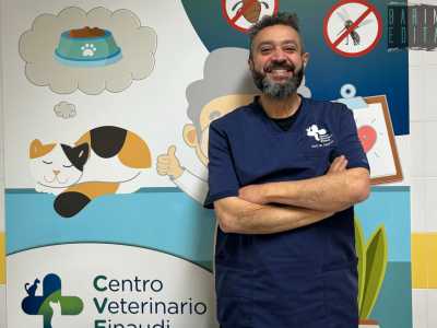 L'esperto � specializzato soprattutto nella cura di grandi mammiferi come orsi, leoni, trigri giraffe ed elefanti